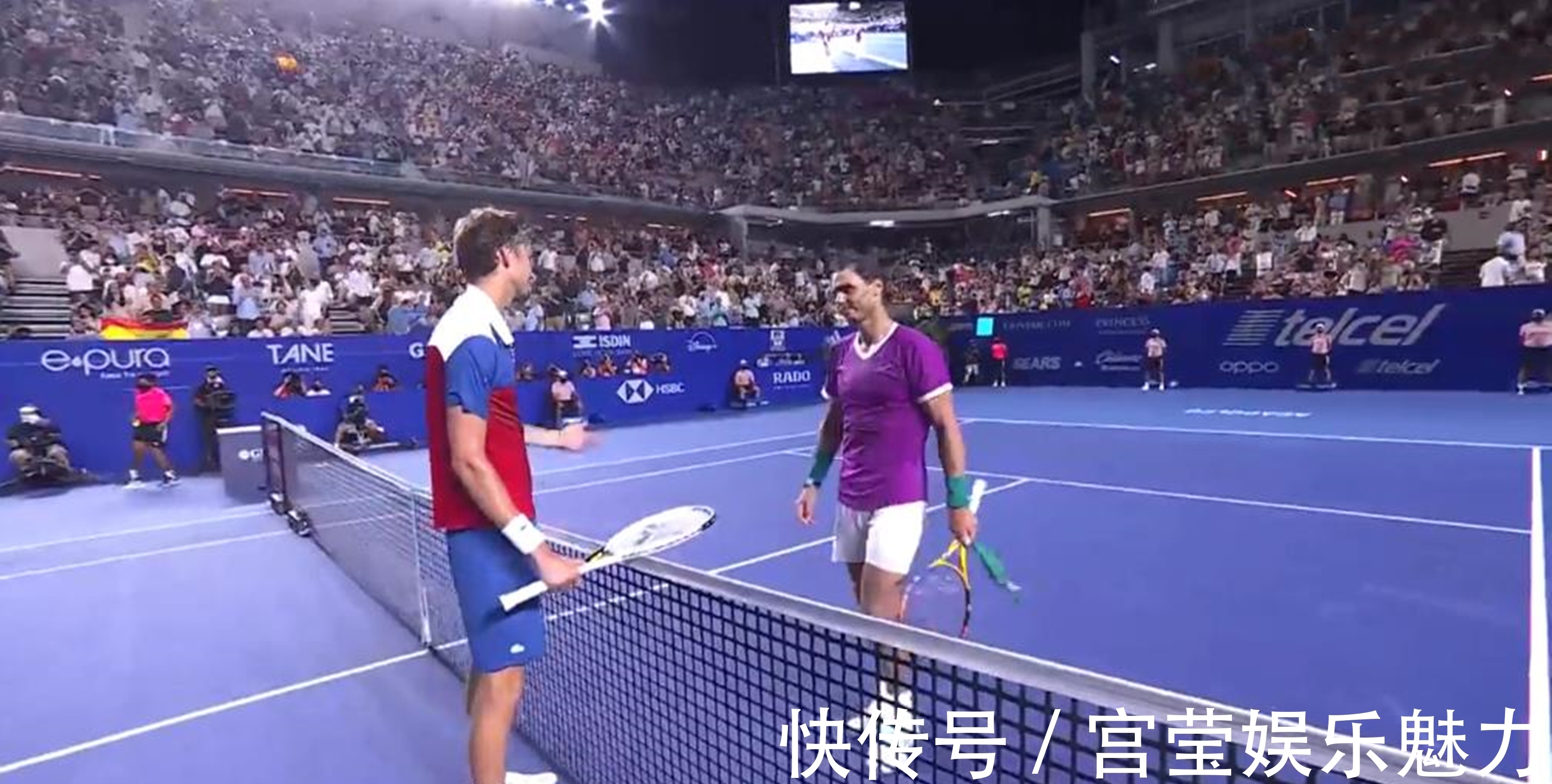 见的病虫害 见的病虫害