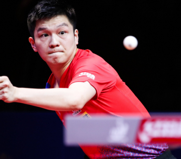 这种理念在 这种理念在