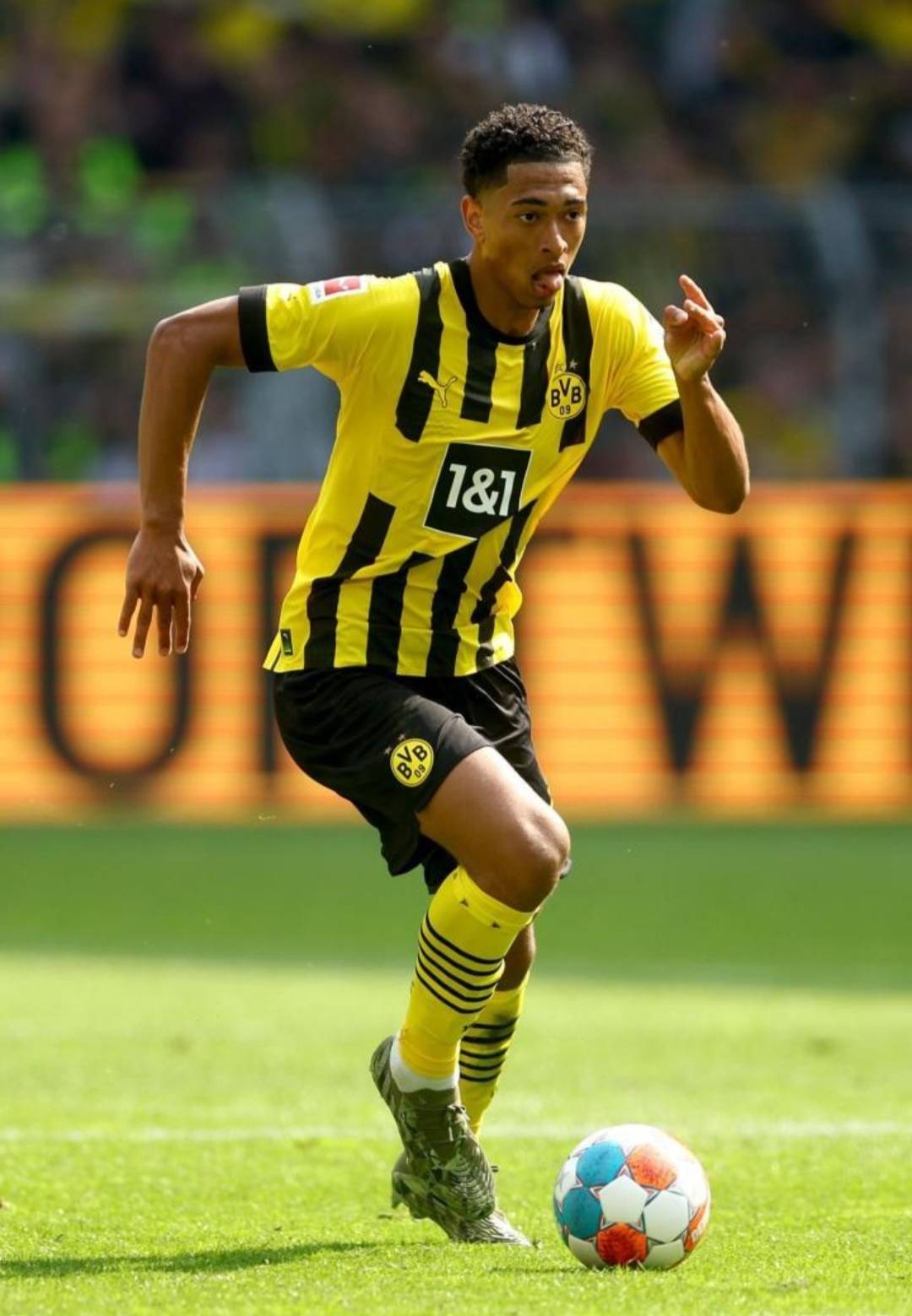 这种翻本执 这种翻本执